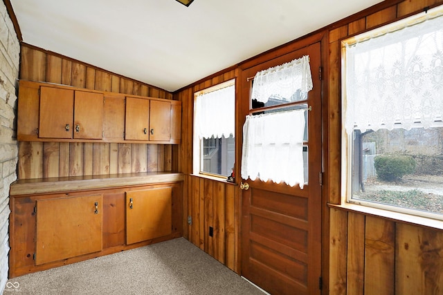 interior space with vaulted ceiling, light carpet, and wood walls