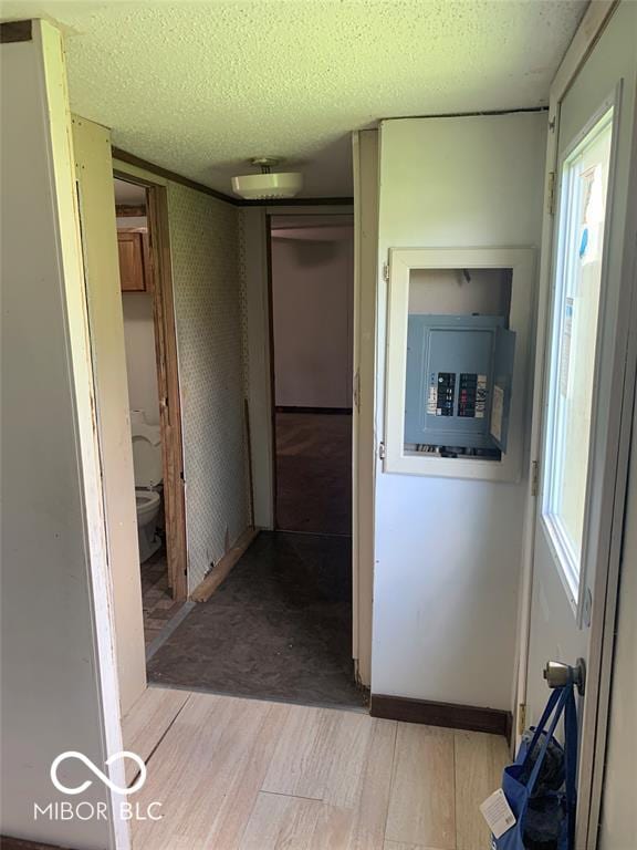 hall featuring electric panel, light hardwood / wood-style floors, and a textured ceiling