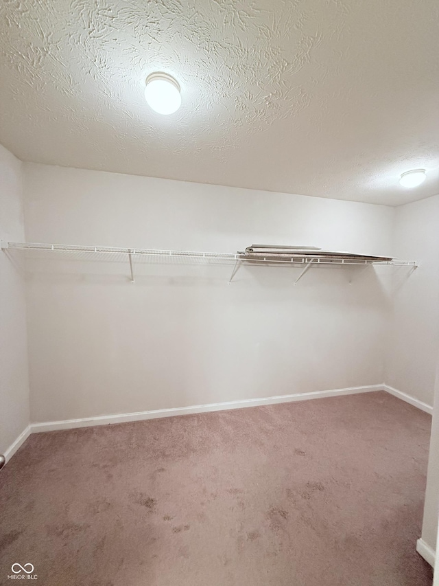 walk in closet with carpet