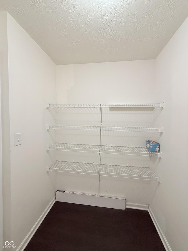 spacious closet with hardwood / wood-style floors