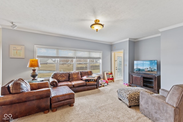 living room with crown molding, carpet floors, and a textured ceiling