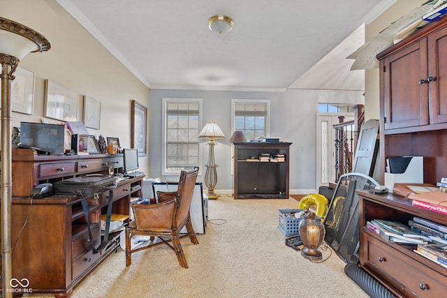 home office with crown molding and light colored carpet