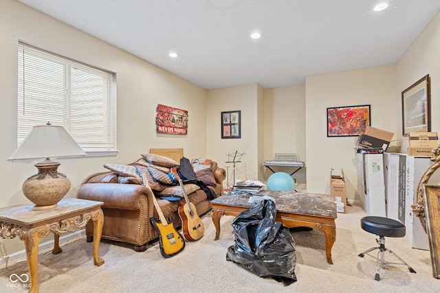 interior space with light colored carpet