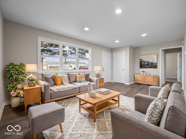 living room with dark wood-type flooring