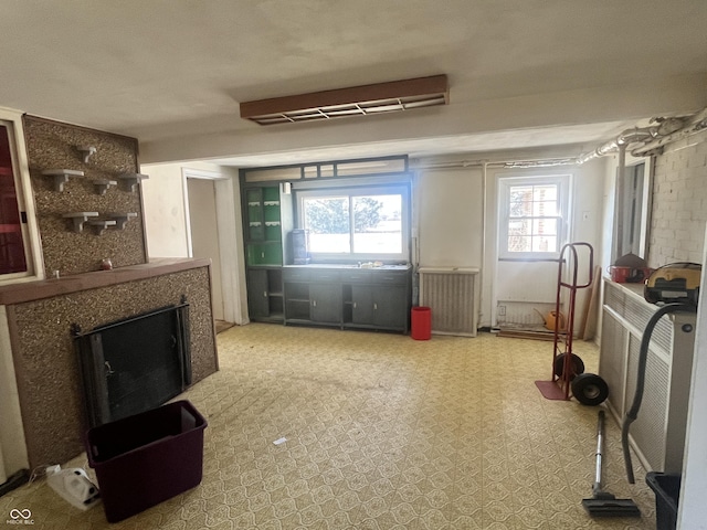 basement featuring a premium fireplace