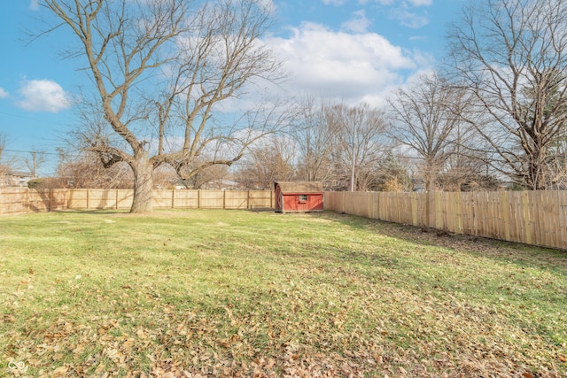 view of yard with a storage shed