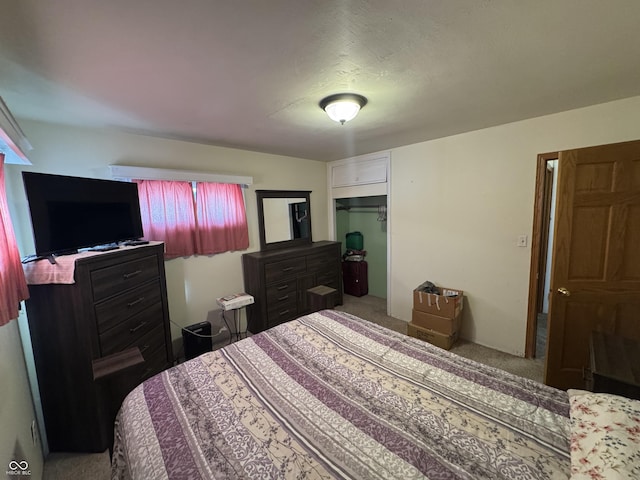 bedroom with carpet floors and a closet