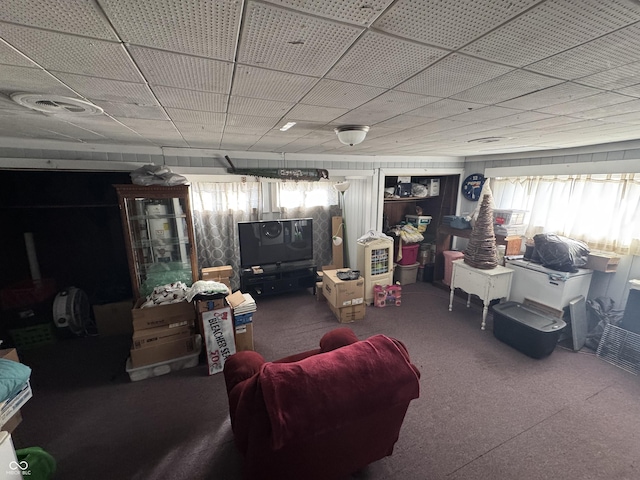 living room with carpet flooring