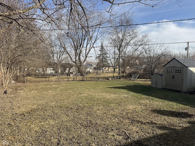 view of yard with a storage unit