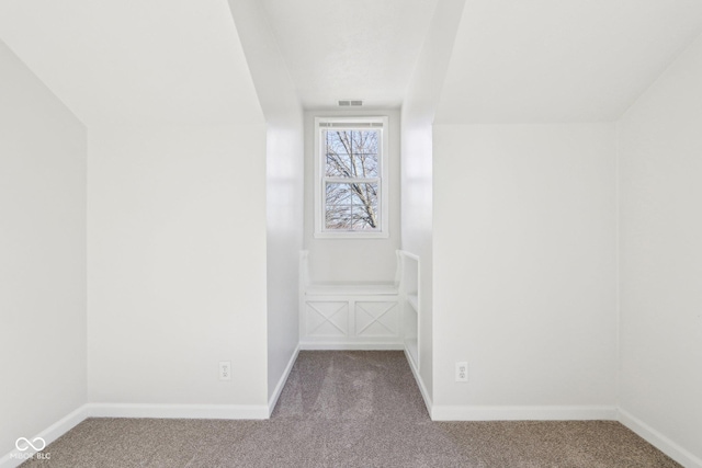 interior space with carpet