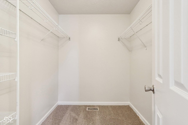 walk in closet with carpet floors