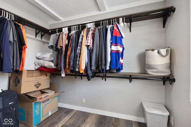 walk in closet featuring dark hardwood / wood-style floors