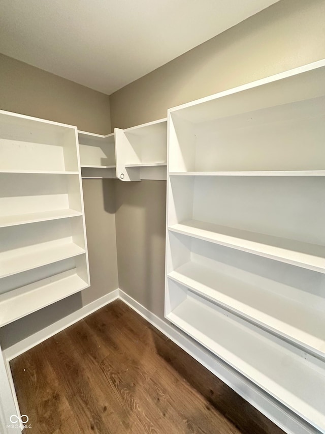 walk in closet with dark hardwood / wood-style floors