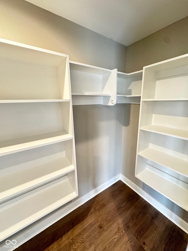 walk in closet with hardwood / wood-style floors