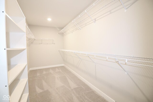 spacious closet featuring carpet floors