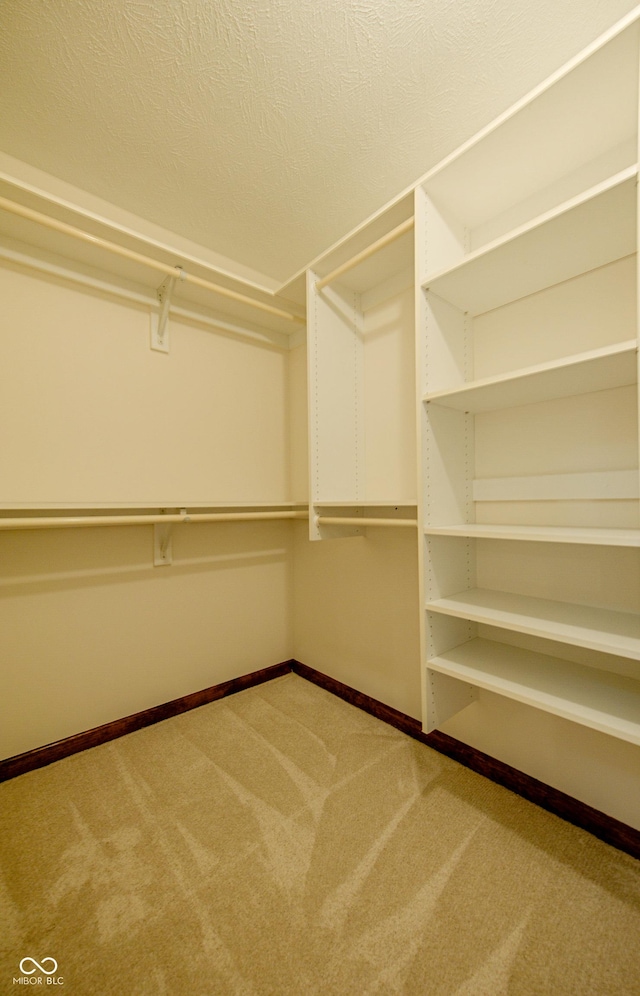 spacious closet with carpet flooring