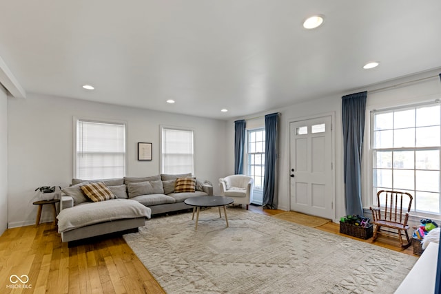 living room with hardwood / wood-style floors