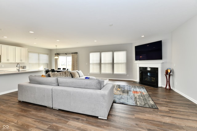 living room featuring sink and dark hardwood / wood-style floors