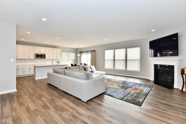 living room featuring dark wood-type flooring