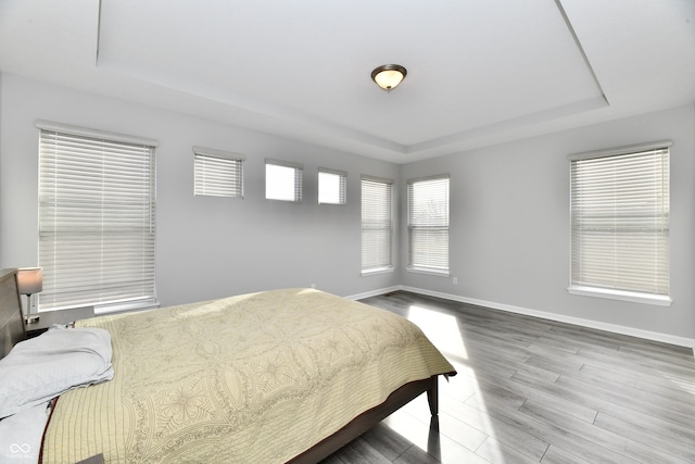 bedroom with a tray ceiling and hardwood / wood-style flooring