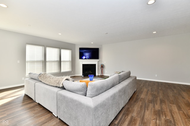 living room with hardwood / wood-style flooring