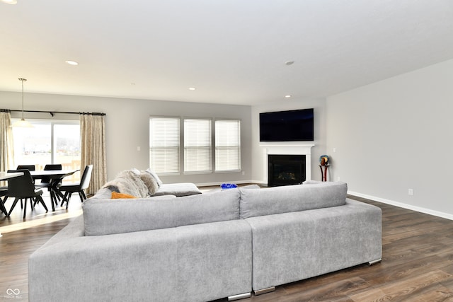 living room featuring dark hardwood / wood-style flooring