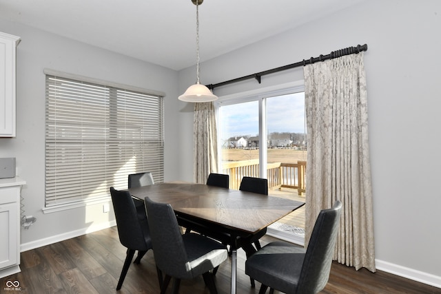 dining room featuring dark wood-type flooring