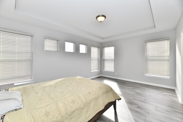 bedroom with hardwood / wood-style floors and a tray ceiling