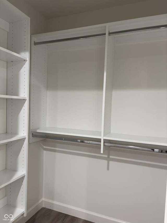 spacious closet featuring dark hardwood / wood-style flooring