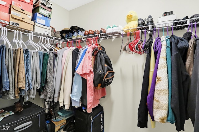 view of spacious closet