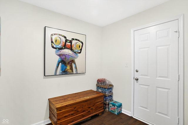 foyer with dark hardwood / wood-style flooring