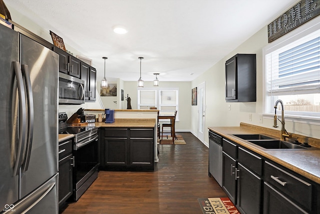 kitchen with hanging light fixtures, appliances with stainless steel finishes, sink, and dark hardwood / wood-style flooring