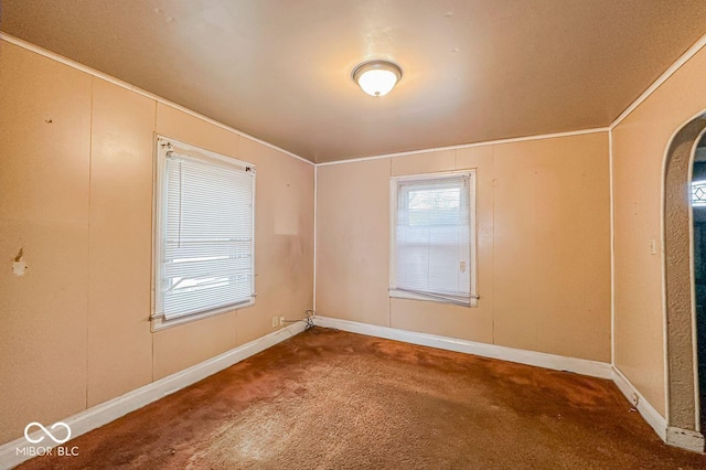 empty room featuring carpet flooring and a wealth of natural light