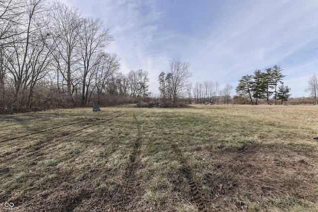 view of yard with a rural view