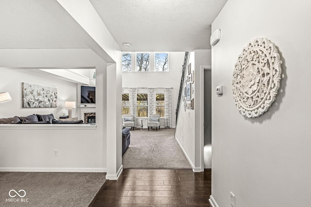 hallway featuring dark hardwood / wood-style flooring and a textured ceiling