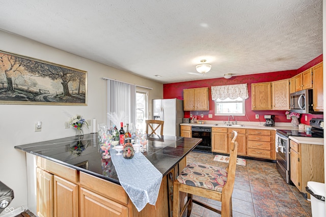 kitchen featuring sink, kitchen peninsula, a textured ceiling, and appliances with stainless steel finishes