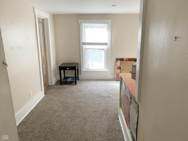 interior space with carpet flooring