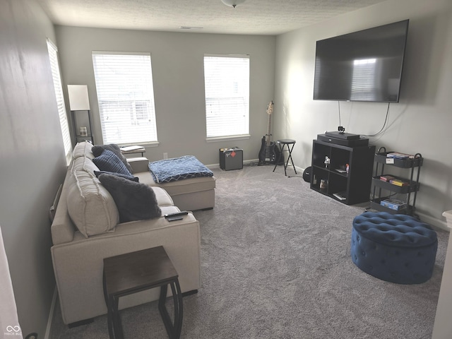 carpeted living room with a textured ceiling