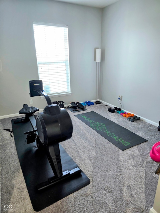 workout room featuring carpet floors