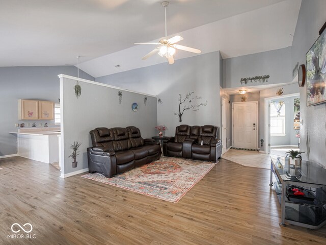 6264 Whitaker Farms Dr, Indianapolis, IN 46237 - living room with ceiling fan, high vaulted ceiling, and light wood-type flooring