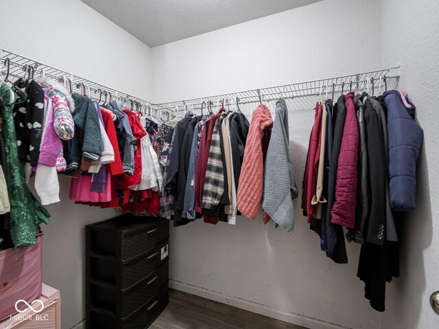 6264 Whitaker Farms Dr, Indianapolis, IN 46237 - walk in closet featuring wood-type flooring