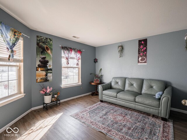 6264 Whitaker Farms Dr, Indianapolis, IN 46237 - living room featuring hardwood / wood-style flooring