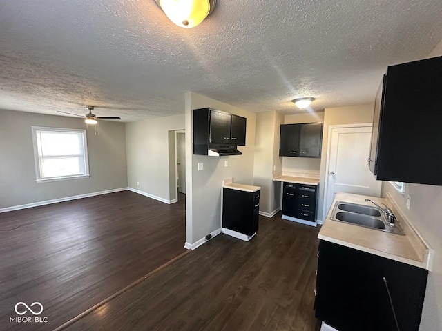 kitchen with dark hardwood / wood-style flooring, sink, a textured ceiling, and ceiling fan