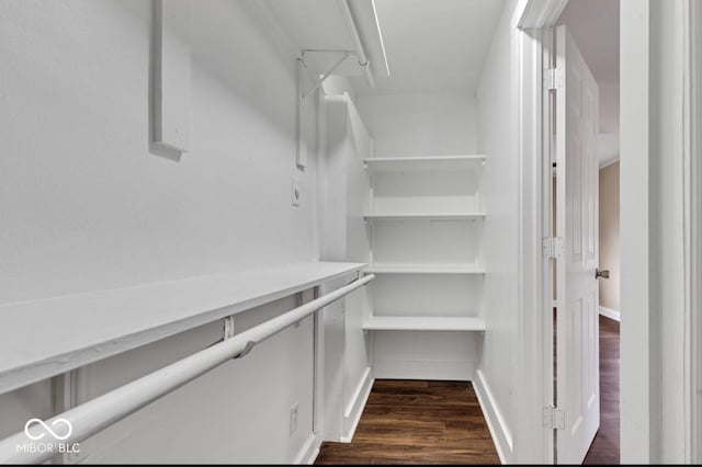 spacious closet featuring dark hardwood / wood-style flooring