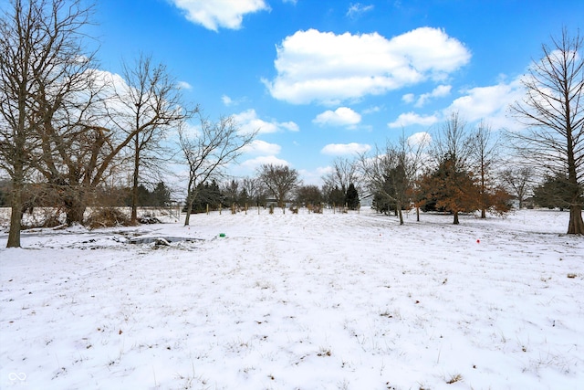 view of yard covered in snow