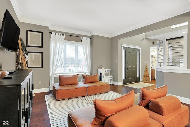 living room with ornamental molding and dark hardwood / wood-style floors