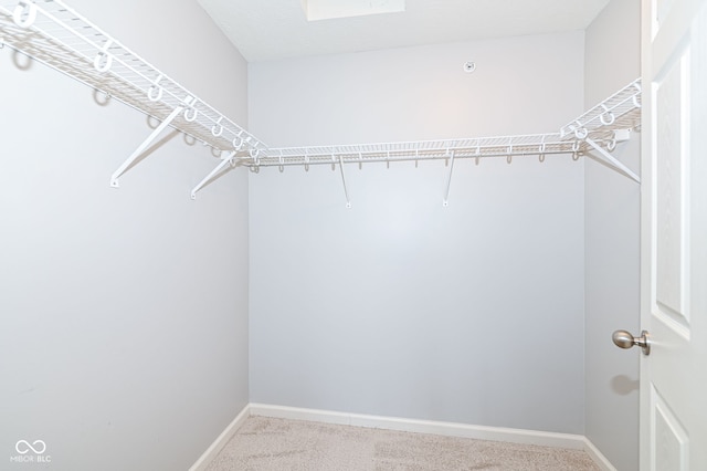 spacious closet with carpet floors