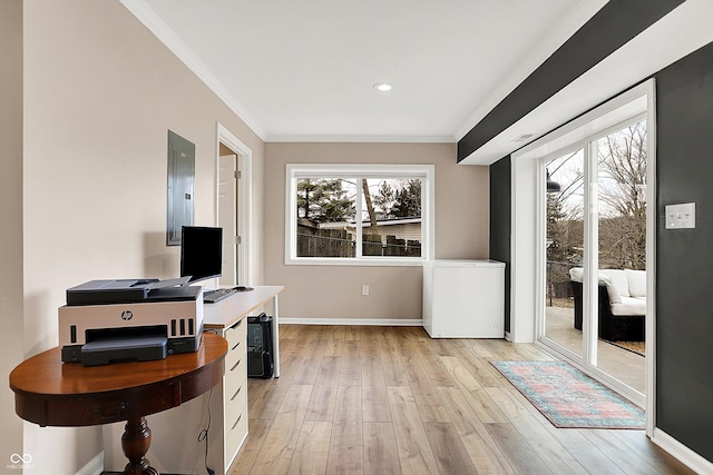 office featuring crown molding, electric panel, and light hardwood / wood-style floors