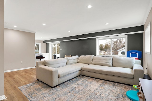 living room with crown molding and wood-type flooring