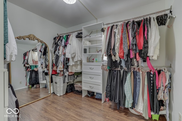 spacious closet with hardwood / wood-style flooring